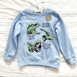Kids Dinosaur Sweatshirt